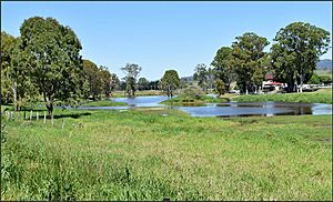 Il-Bogan Lagoon, Beaudesert, 2022