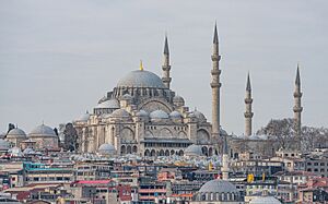 Istanbul asv2020-02 img49 Süleymaniye Mosque