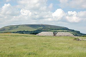 Listoghil Carrowmore