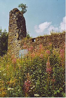 Lochwood Castle - geograph.org.uk - 220345