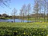 Marie Curie Field of Hope, Sefton Park - geograph.org.uk - 149919.jpg