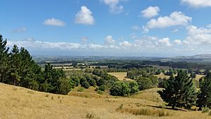 Martinborough from Rapaki