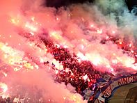 Nacional 2-0 Fluminense.jpg