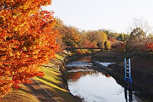 Nara Prefectural Tatsuta Park05s3s4470