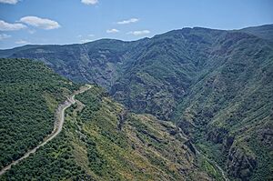 Nature reserve of Zangezur