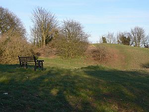 Owston Ferry Castle.jpg