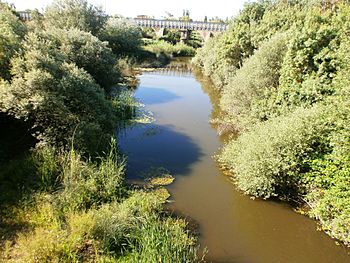 Río Gévora bajo 02.JPG