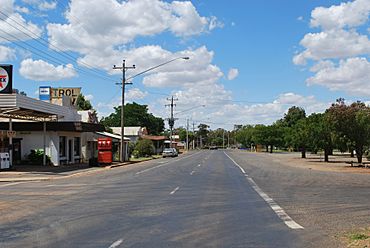 Rankins Springs Mid Western Highway.JPG