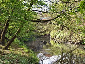 River Roch, near Hooley Bridge - geograph.org.uk - 1840453