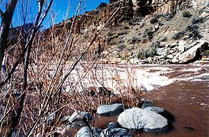 Saltrivercanyon