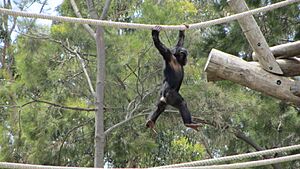 Taronga Zoo, Sydney (483476) (9440373377)