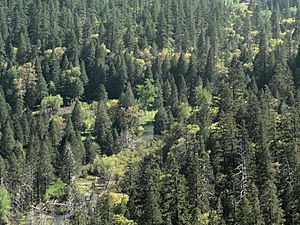 Tenaya Canyon 08438