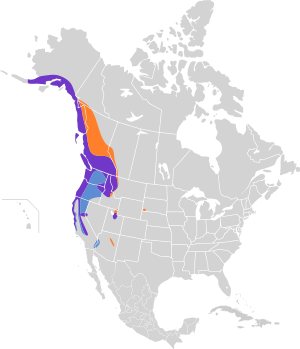 Troglodytes pacificus map.svg