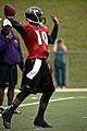 Troy Smith Ravens