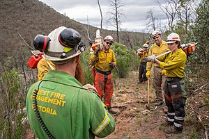 US Firefighters in Australia