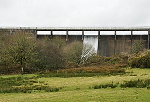 Upper Tamar Lake dam