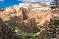 View from Observation Point Trail