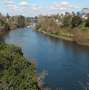 Waikato river 750px