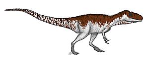 Afrovenator Abakensis by PaleoGeek