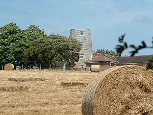 Angmering mill.jpg