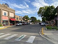 Bemidji, Minnesota-02-Businesses on Beltrami Avenue