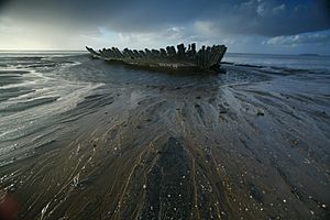 Berrow Wreck June 2006