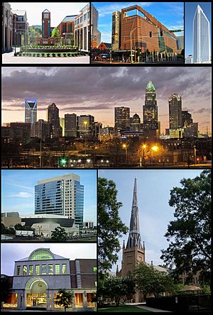 Charlotte collage.jpg