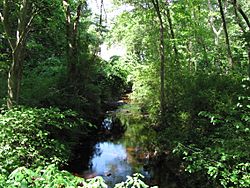 Cochato River, Randolph MA