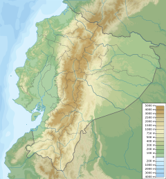 Type locality in Ecuador