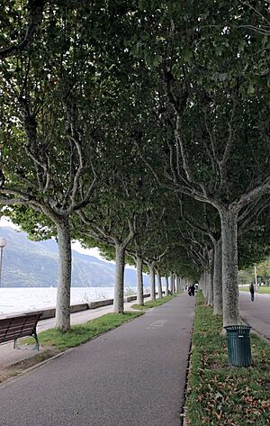 Esplanade aix-les-bains