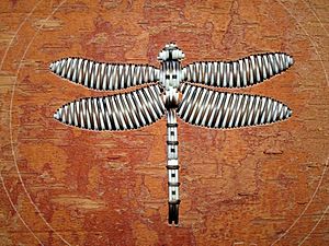 Ferdy's dragonfly