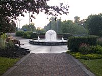 Fontaine coco 1