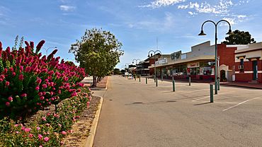 Heal Street, Quairading, 2018 (03).jpg