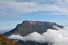 Ilú-tepui - southeastern face