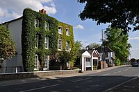 Ivy House, Ham.jpg