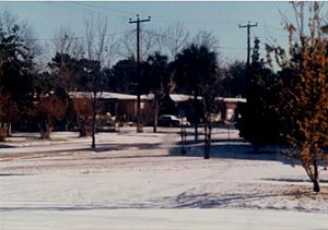 Jacksonville Snow 2