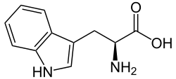 L-Tryptophan - L-Tryptophan