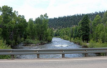 Los Pinos River.JPG