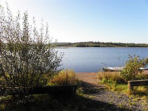 Lough Scur, corglass