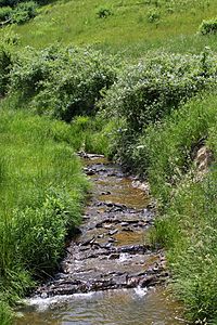 Middle Creek looking upstream.jpg