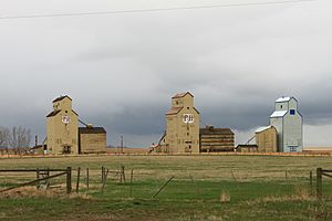 Mossleigh elevators