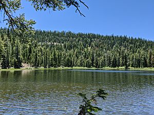 Mount Watson from Watson Lake