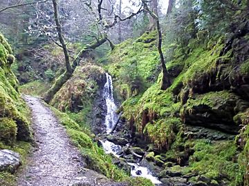 Puck's Glen 20170416 1027.jpg