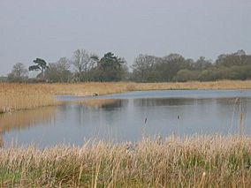 Redgrave and South Lopham Fen.jpg