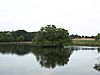 Richmond Park Pen Ponds.jpg