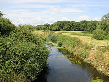 River Adur below Wineham.JPG