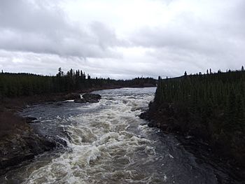 Rivière Hart Jaune.jpg