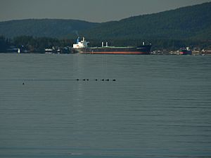 SS Prince William Sound 32201