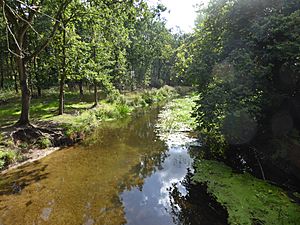 Stream from Didlington Park Lakes.jpg