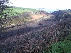 The Cwm, Dinas island - geograph.org.uk - 207025.jpg